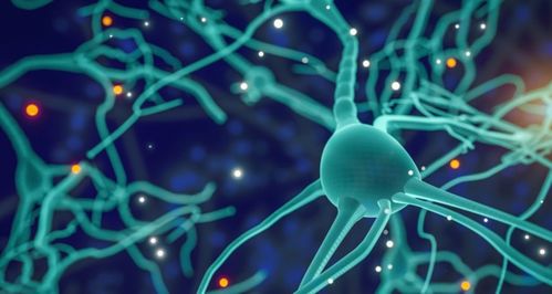 專訪再生生物 像預防疾病一樣抗衰，AI制藥與細胞技術重塑抗衰老未來