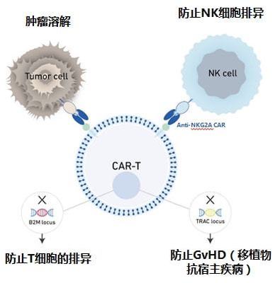 實體瘤CAR-T的破局者 科濟藥業李宗海談全球研發進展、海外布局與下一代技術