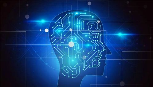 教育部支持七專業 計算機軟件技術開發能否成為熱門？